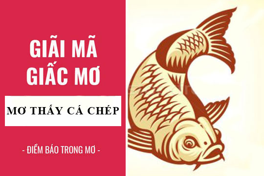Giải mã giấc mơ thấy cá chép và những con số may mắn liên quan